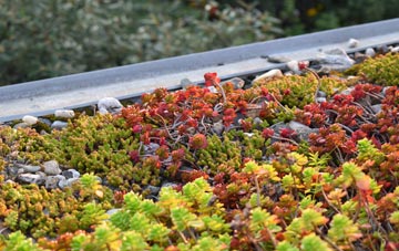 the cost of Erith green roof installation