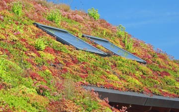 Erith living roof systems